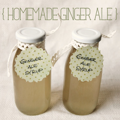 ginger_ale_feat