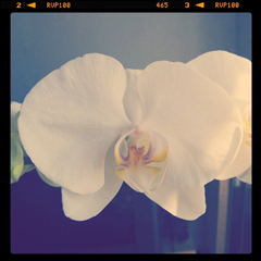 photo_feat