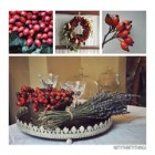 rose_hip_feat