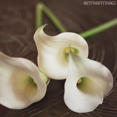 calla_feat