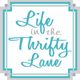 life_in_the_thrifty_lane