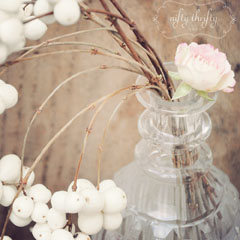 snowberries_feat