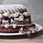 black_forest_feat