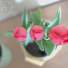 tulips1