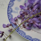 wisteria from {nifty thrifty things}