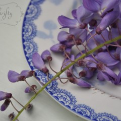 wisteria from {nifty thrifty things}