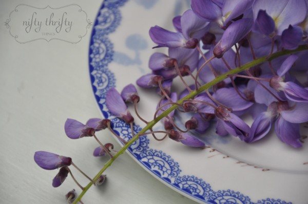 wisteria from {nifty thrifty things}