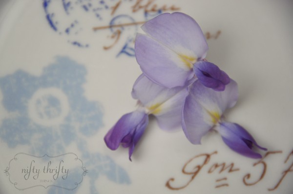 wisteria from {nifty thrifty things}