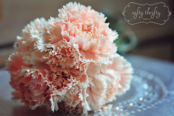 carnations from {nifty thrifty things}