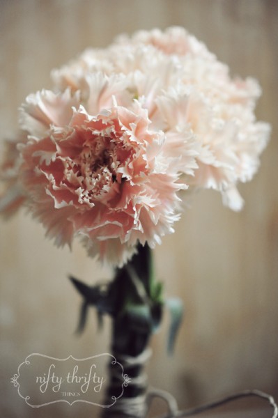 carnations from {nifty thrifty things}