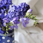 blue freesia from {nifty thrifty things}