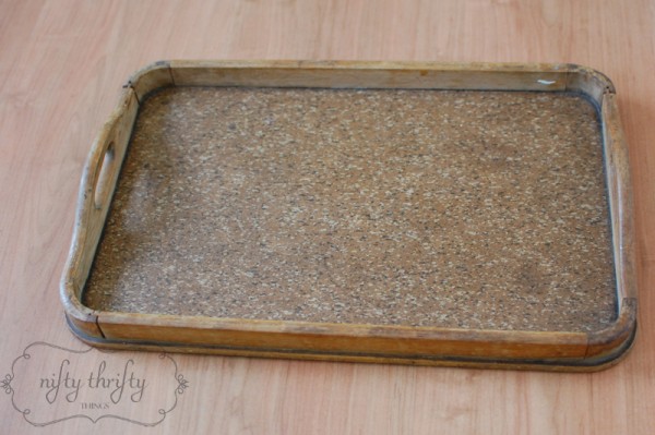 tray5