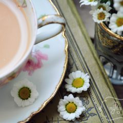 mini chrysanthemum from {nifty thrifty things}
